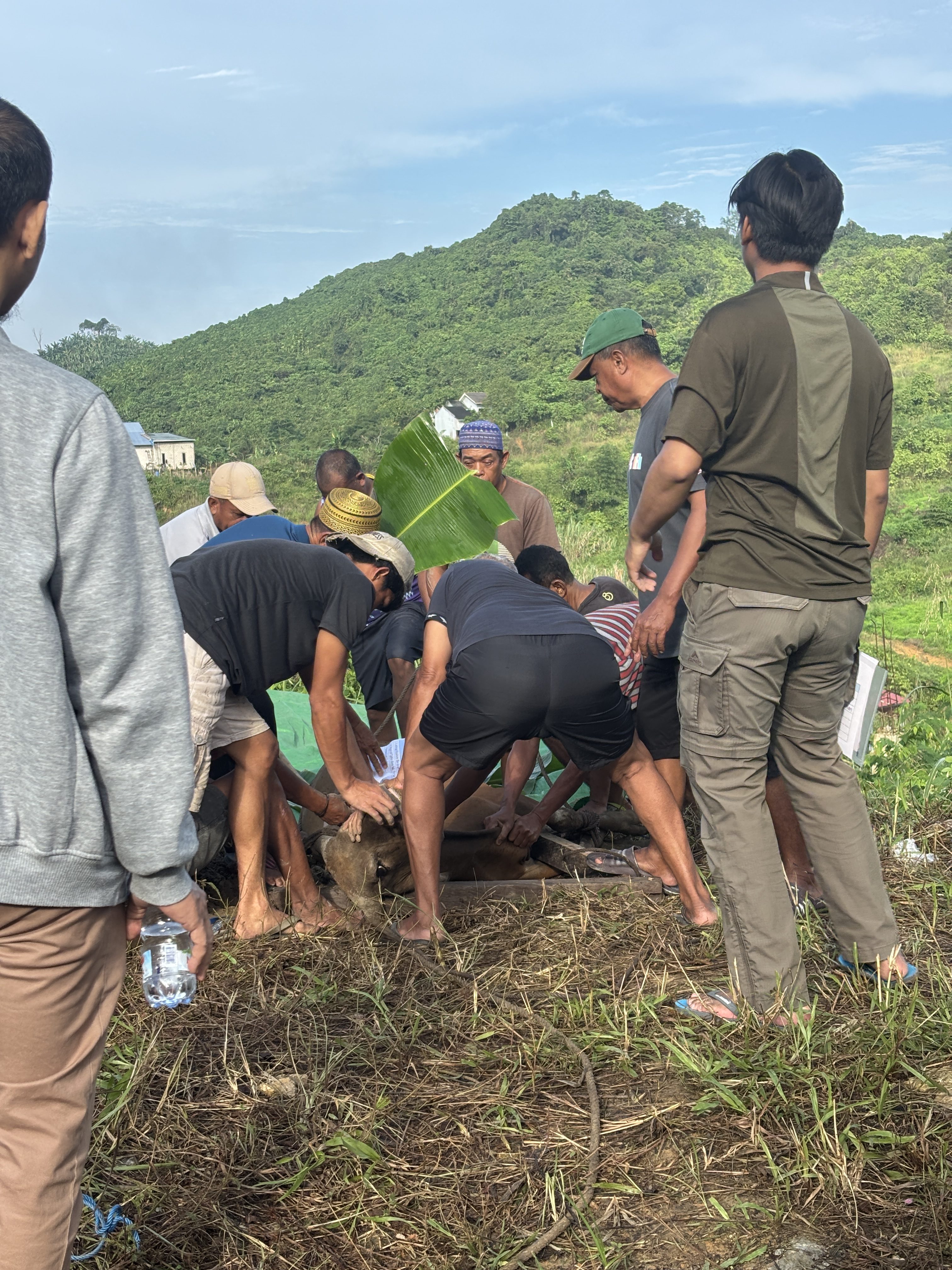 Foto dokumentasi - Dokumentasi Kegiatan Pemotongan Hewan Qurban Idul Adha 1447 H - PT Laboratorindo Alam Bestari