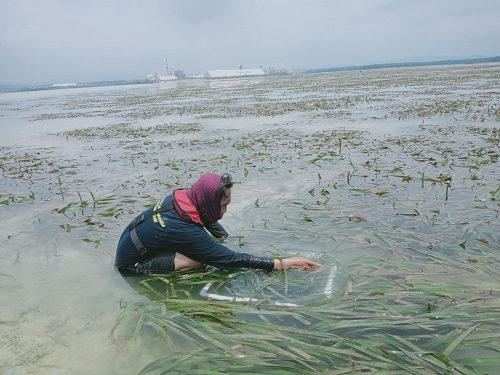Ilustrasi layanan - Sampling dan Analisa Air Bersih - PT Laboratorindo Alam Bestari